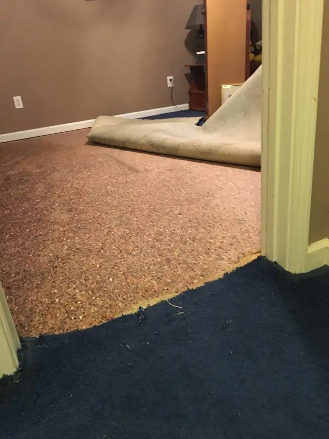 Carpet pad removal revealing water damage during Water Mitigation Services in Hastings